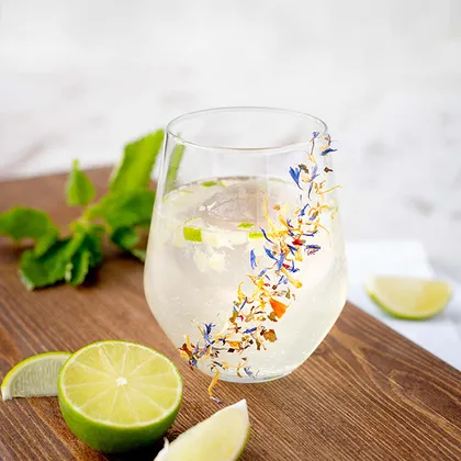 FIZZY ELDERFLOWER