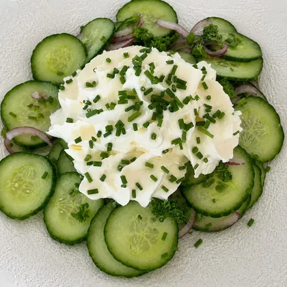 GURKEN-KRÄUTER SALAT MIT LEICHTER MEERRETTICH-ESPUMA