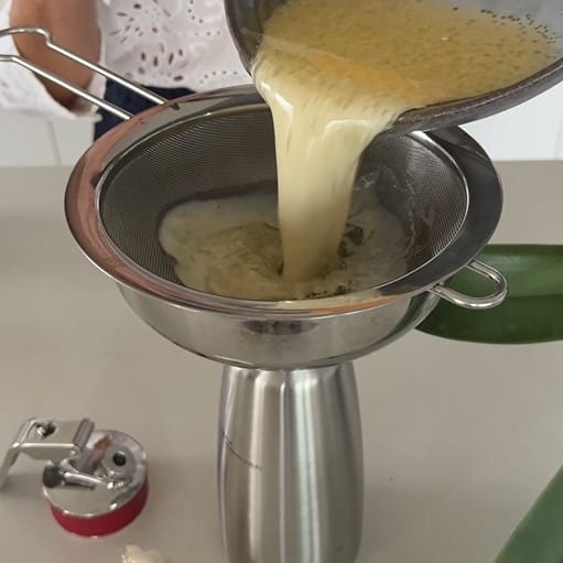 Die vegane Geschmacksexplosion