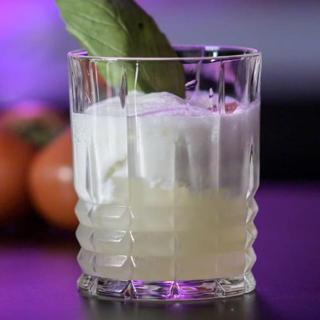 NITRO BURRATA