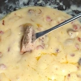 PILZ-FONDUE