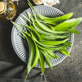 RAPID INFUSION BÄRLAUCHÖL