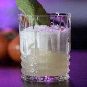 NITRO BURRATA